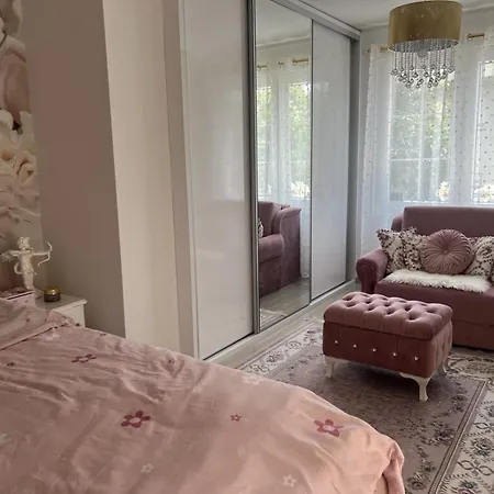 Romansa Villa Novi Sad