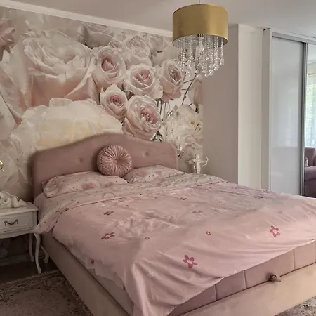 Romansa * 노비사드