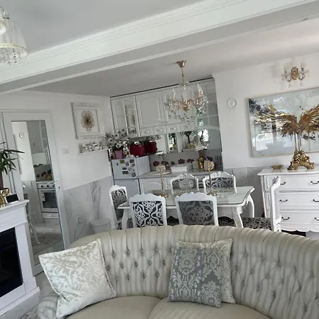 Romansa Villa Novi Sad