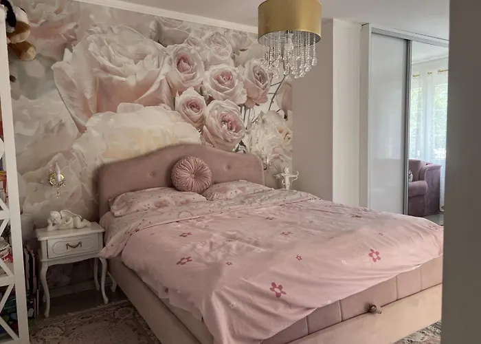 Romansa * ノヴィ・サド