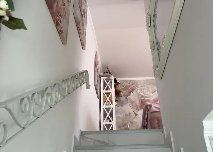 Romansa ノヴィ・サド